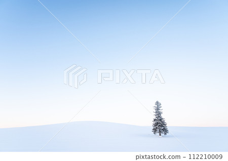 Hokkaido Biei Christmas tree covered with snow before dawn 112210009