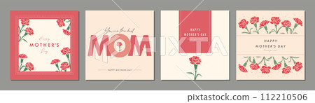 Mother's Day Carnation Material Set Frame Background Vector Illustration Simple Stylish 112210506