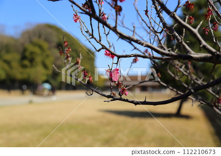 平城宮遺址[東院花園] / 奈良市 112210673