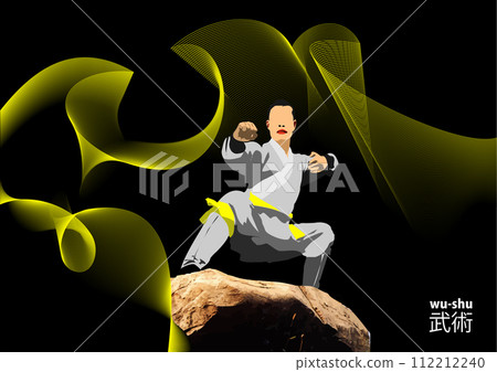 Oriental combat sports. Wu-shu. Colored 3d vector illustration. Translation Chinese = wu-shu 112212240