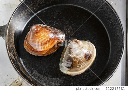 Big clam 112212381