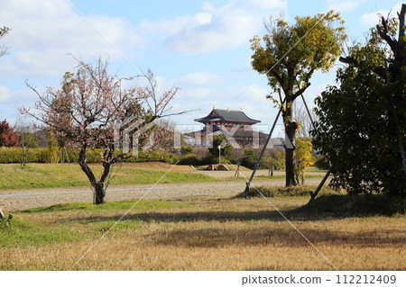 Heijo Palace Ruins [Daigokuden from Nijo Oji] / Nara City 112212409