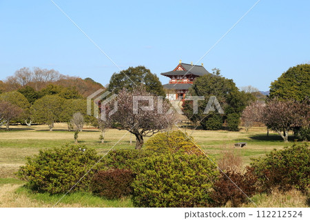 Heijo Palace Ruins / Nara City 112212524