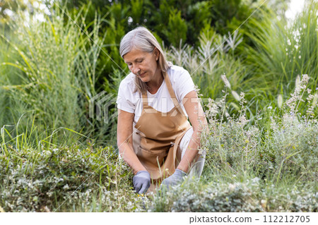 A scary gray-haired woman in a brown apron and gloves is working outside on the ground, cultivating the vegetable garden. 112212705