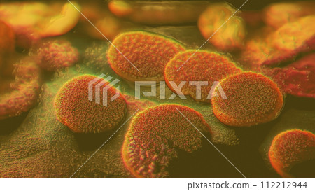 Parasite eggs, worm eggs, illustration Parasite eggs, worm eggs, illustration 112212944