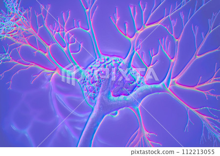 Neurons, brain cells, neural network, 3D illustration 112213055