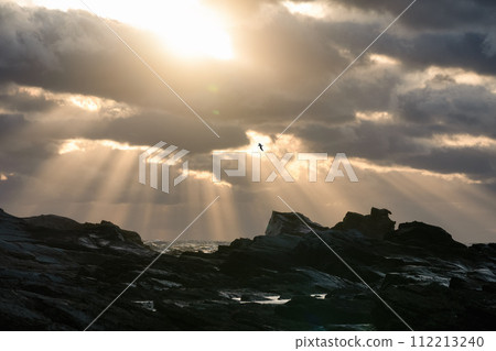 Sunrise at Inubosaki, Choshi City, Chiba Prefecture Sunrise at Inubosaki, Choshi City, Chiba Prefecture 112213240