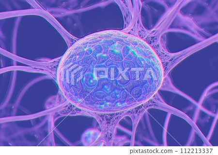 Neurons, brain cells, neural network, 3D illustration Neurons, brain cells, neural network, 3D illustration 112213337
