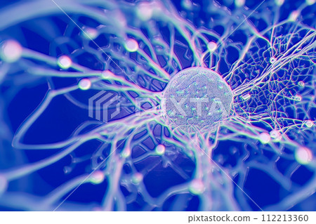 Neurons, brain cells, neural network, 3D illustration 112213360