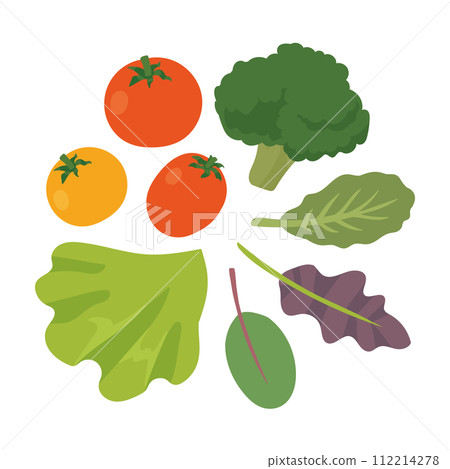 Salad image illustration 112214278