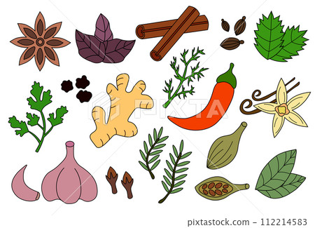 Set spices, condiments and herbs. Doodle collection icon, logo, stickers. Vector flat illustration. Set spices, condiments and herbs. Doodle collection icon, logo, stickers. Vector flat illustration. 112214583