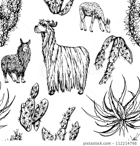 Hand drawn ink vector illustration, nature desert plant succulent cactus aloe agave, llama alpaca wool animals. Seamless pattern isolated on white background. Design travel, vacation, brochure, print 112214798