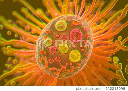 Beautiful microworld, microbes of different shapes, illustration Beautiful microworld, microbes of different shapes, illustration 112215096