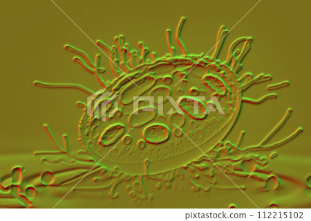 Beautiful microworld, microbes of different shapes, 3D illustration Beautiful microworld, microbes of different shapes, 3D illustration 112215102