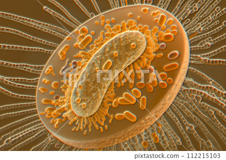 Beautiful microworld, microbes of different shapes, 3D illustration Beautiful microworld, microbes of different shapes, 3D illustration 112215103