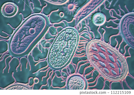 Beautiful microworld, microbes of different shapes, 3D illustration Beautiful microworld, microbes of different shapes, 3D illustration 112215109