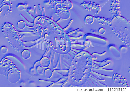 Beautiful microworld, microbes of different shapes, 3D illustration Beautiful microworld, microbes of different shapes, 3D illustration 112215121