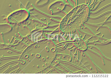 Beautiful microworld, microbes of different shapes, 3D illustration Beautiful microworld, microbes of different shapes, 3D illustration 112215122
