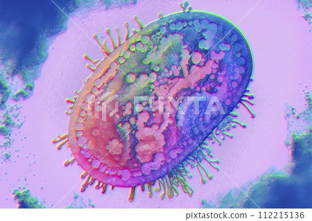 Beautiful microworld, microbes of different shapes, 3D illustration Beautiful microworld, microbes of different shapes, 3D illustration 112215136
