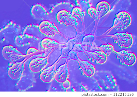 Beautiful microworld, microbes of different shapes, 3D illustration Beautiful microworld, microbes of different shapes, 3D illustration 112215156