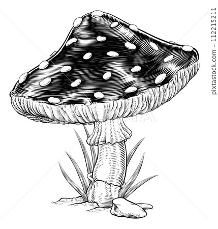 Mushroom Toadstool Fly Agaric Amanita Muscaria 112215211