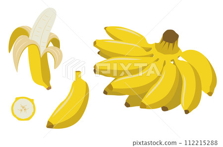Bunch of yellow bananas and peeled vector illustration Bunch of yellow bananas and peeled vector illustration 112215288