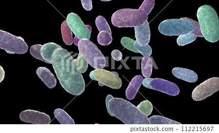 Bacteria Aggregatibacter, illustration 112215697