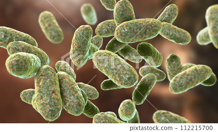 Bacteria Aggregatibacter, illustration Bacteria Aggregatibacter, illustration 112215700