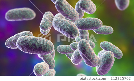 Bacteria Aggregatibacter, illustration Bacteria Aggregatibacter, illustration 112215702
