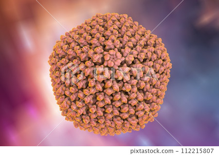 Adenovirus, a virus which cause respiratory infections 112215807