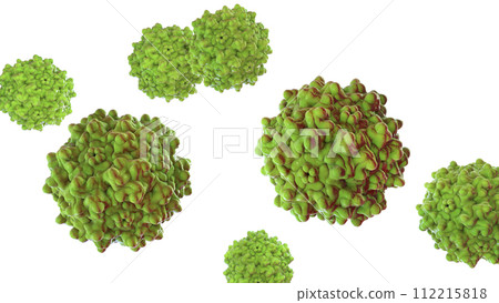 Adeno-associated viruses, 3D illustration 112215818