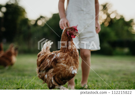 Little girl chasing chickens on a farm, running, having fun during the holidays at her grandparents' countryside home. 112215822