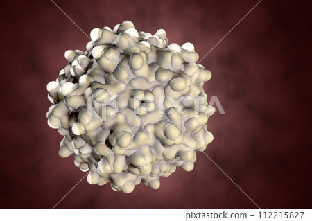 Adeno-associated viruses, 3D illustration 112215827