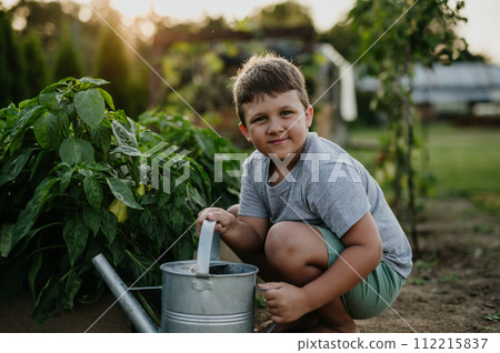 Boy squatting by raised garden bed, holding metal watering can. Caring for vegetable garden and growing, planting spring vegetables. 112215837