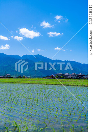[初夏材料]安曇野市的稻田和水鏡[長野縣] 112216112