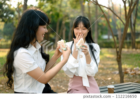 Two cheerful female colleagues enjoying sandwich during lunch break outdoor Two cheerful female colleagues enjoying sandwich during lunch break outdoor 112216650