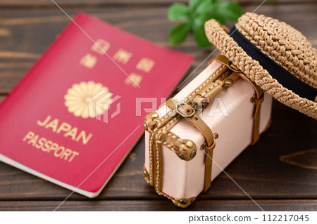 Travel luggage trunk and passport 112217045