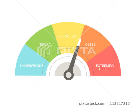 BMI concept indicator. Body mass index. Weight control. Vector flat illustration BMI concept indicator. Body mass index. Weight control. Vector flat illustration 112217213