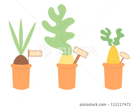 Growing plants. Gardening element isolated on white background. Spring horticulture. Sapling and seeding in a pot. Vector flat illustration 112217472