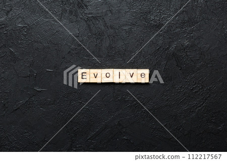 EVOLVE word written on wood block. EVOLVE text on cement table for your desing, concept 112217567