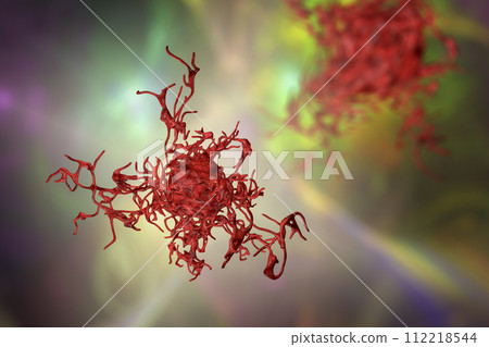 Human parasitic amoeba with pseudopodia 112218544