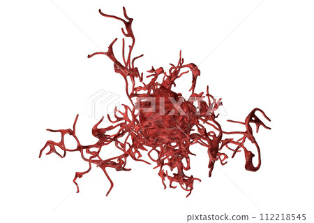 Human parasitic amoeba with pseudopodia Human parasitic amoeba with pseudopodia 112218545
