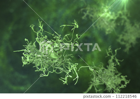 Human parasitic amoeba with pseudopodia Human parasitic amoeba with pseudopodia 112218546