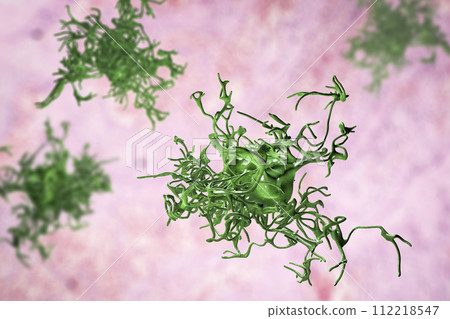 Human parasitic amoeba with pseudopodia 112218547