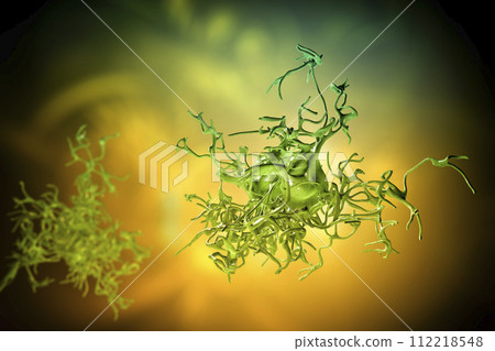 Human parasitic amoeba with pseudopodia 112218548