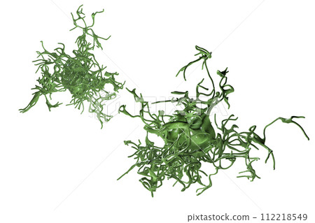 Human parasitic amoeba with pseudopodia 112218549