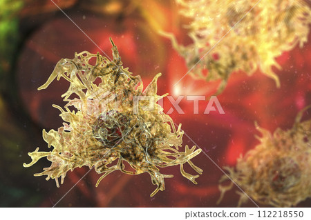 Human parasitic amoeba with pseudopodia 112218550