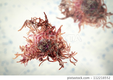 Human parasitic amoeba with pseudopodia Human parasitic amoeba with pseudopodia 112218552