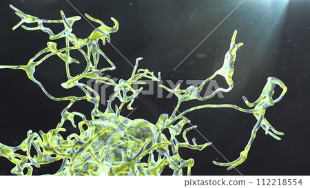 Human parasitic amoeba with pseudopodia 112218554