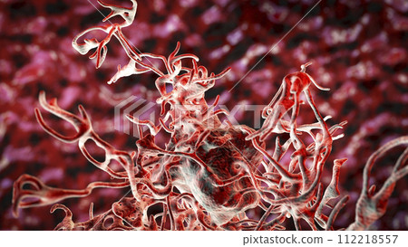 Human parasitic amoeba with pseudopodia Human parasitic amoeba with pseudopodia 112218557